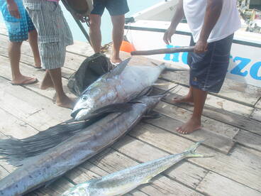 fishing team from Bulgary