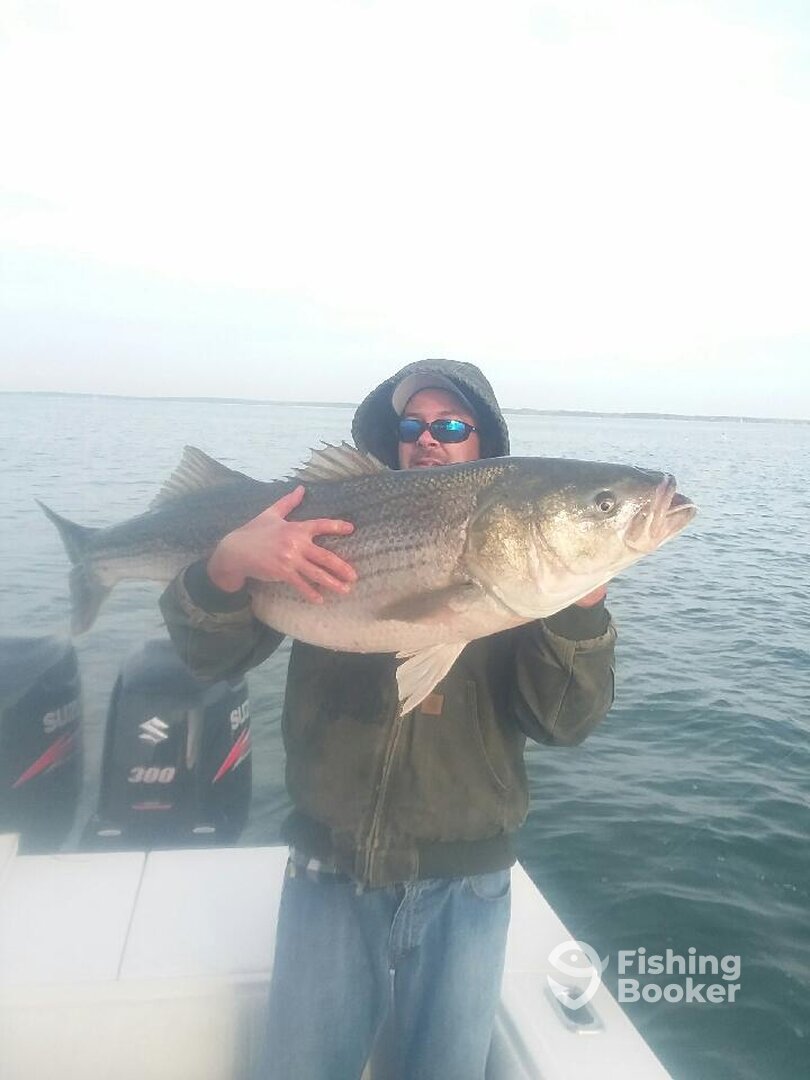 Cape Charles Report Photo 0