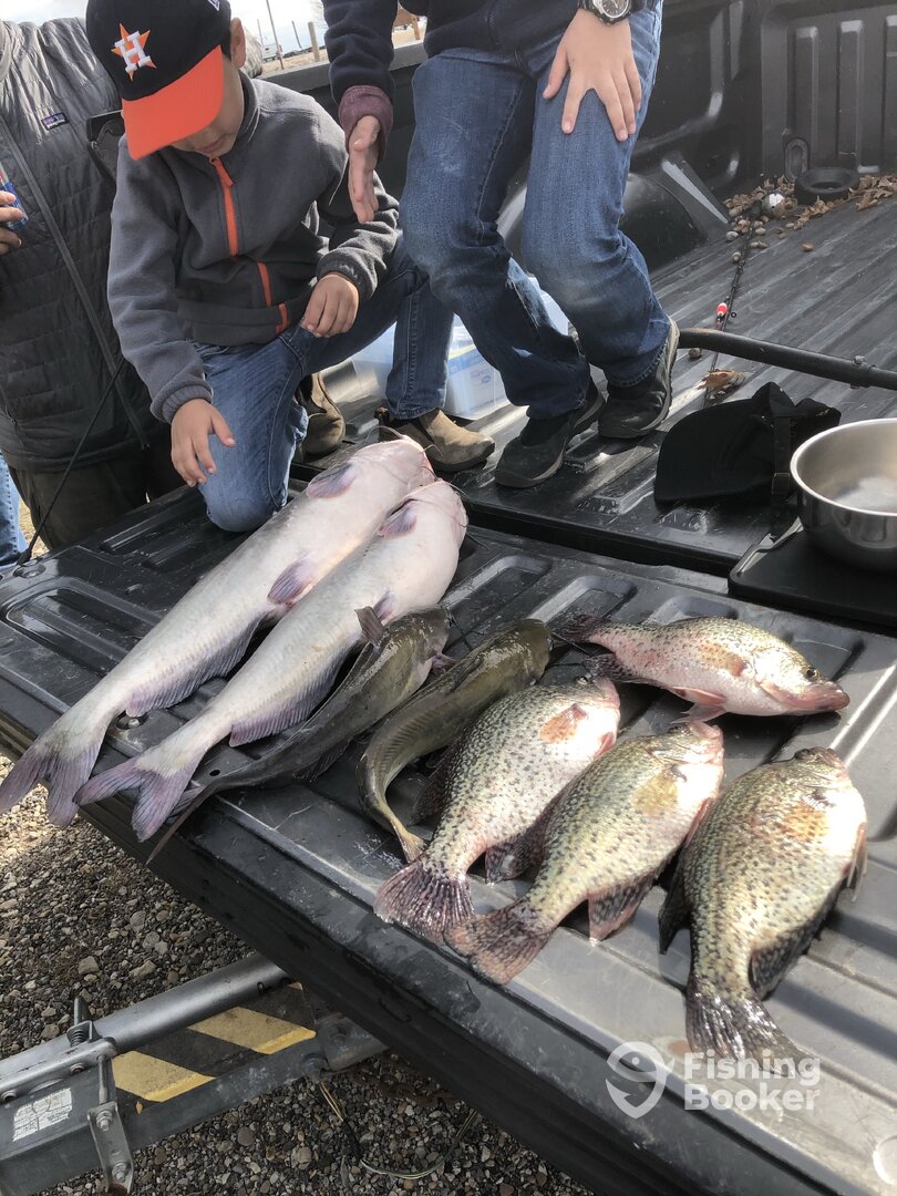 Lewisville Report Photo 0