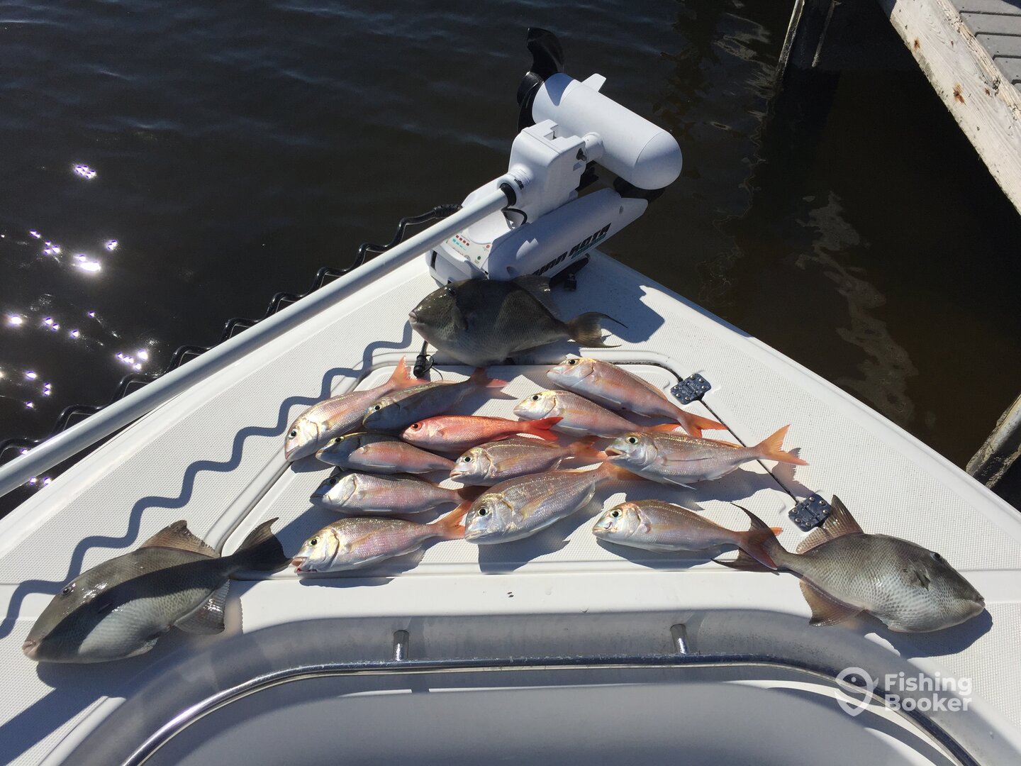 Pensacola Report Photo 0