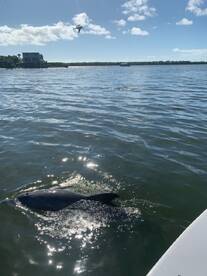 Fort Myers Report Photo 2
