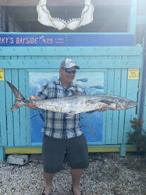 Huge Kingfish showing up !!!