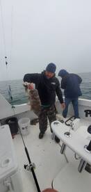 Norfolk Report Photo 1