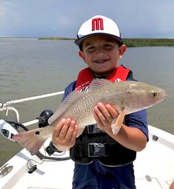 New Orleans Report Photo 2