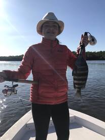 Mixed bag of most things that eat shrimp