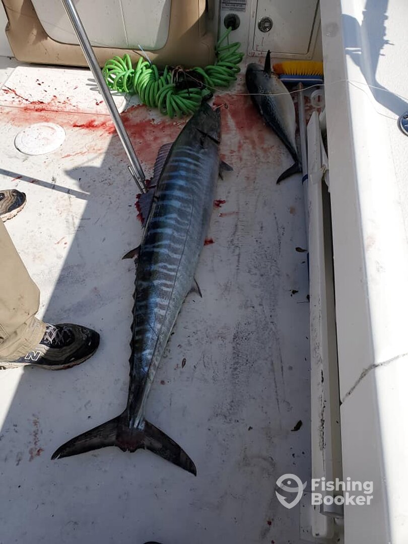 One nice Wahoo and a fat bonita too!