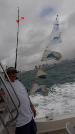 Fort Lauderdale Report Photo 1