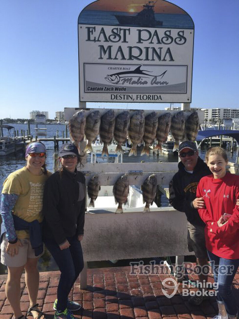 Destin Report Photo 0