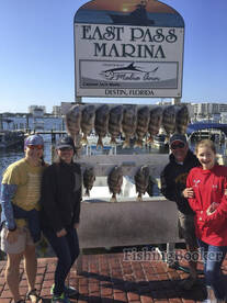 Sheepshead action!