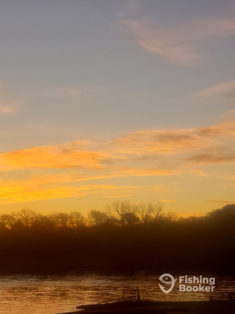 Grapevine Report Photo 0