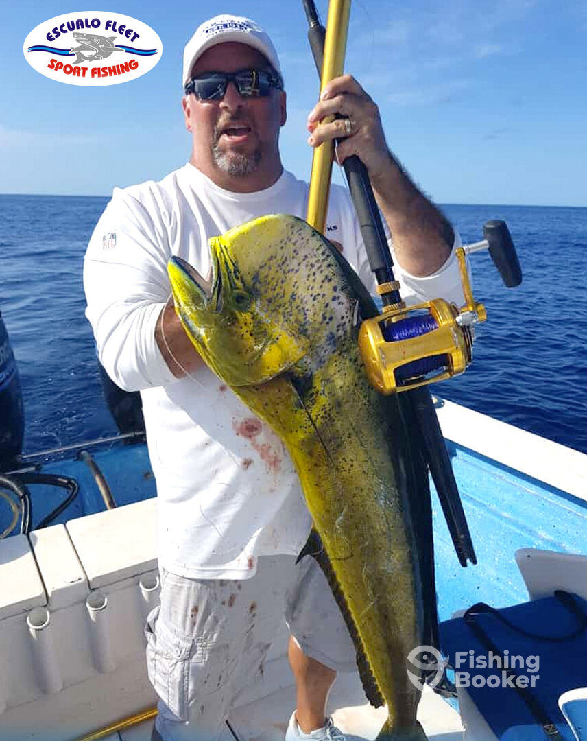 Mazatlán Report Photo 0