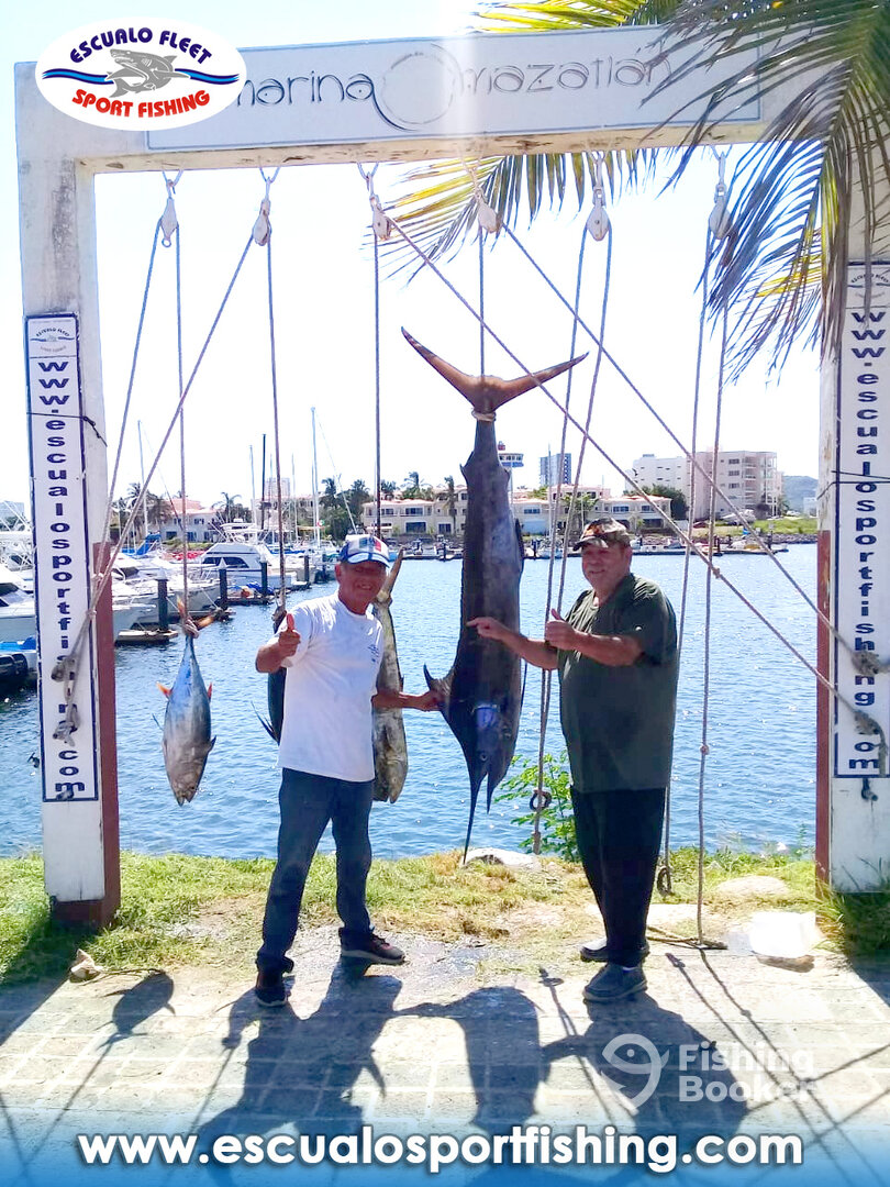 Mazatlán Report Photo 0