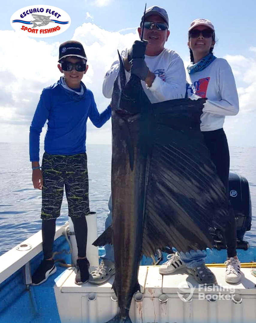 Mazatlán Report Photo 0