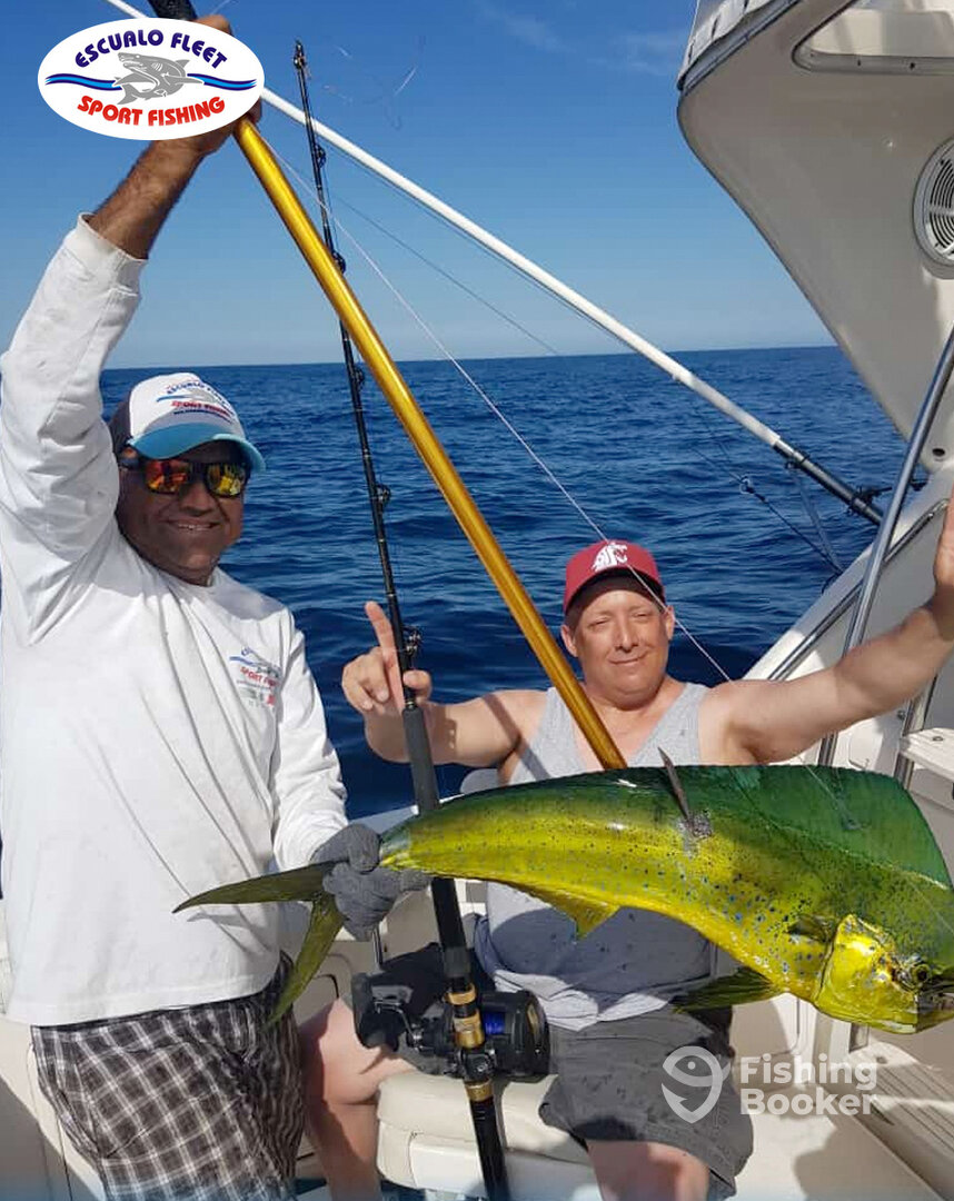 Mazatlán Report Photo 0