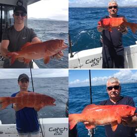 GREAT DEEP SEA FISHING AND WEATHER