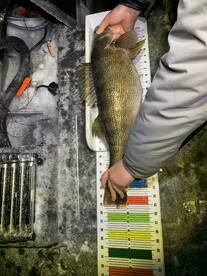 Lake Geneva Report Photo 2