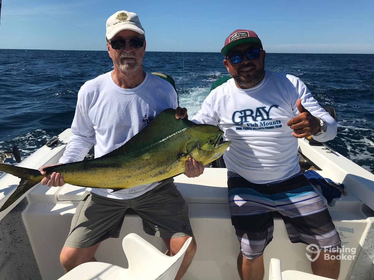 Dorado Mahi Mahi