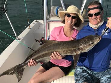 30lb Cobia