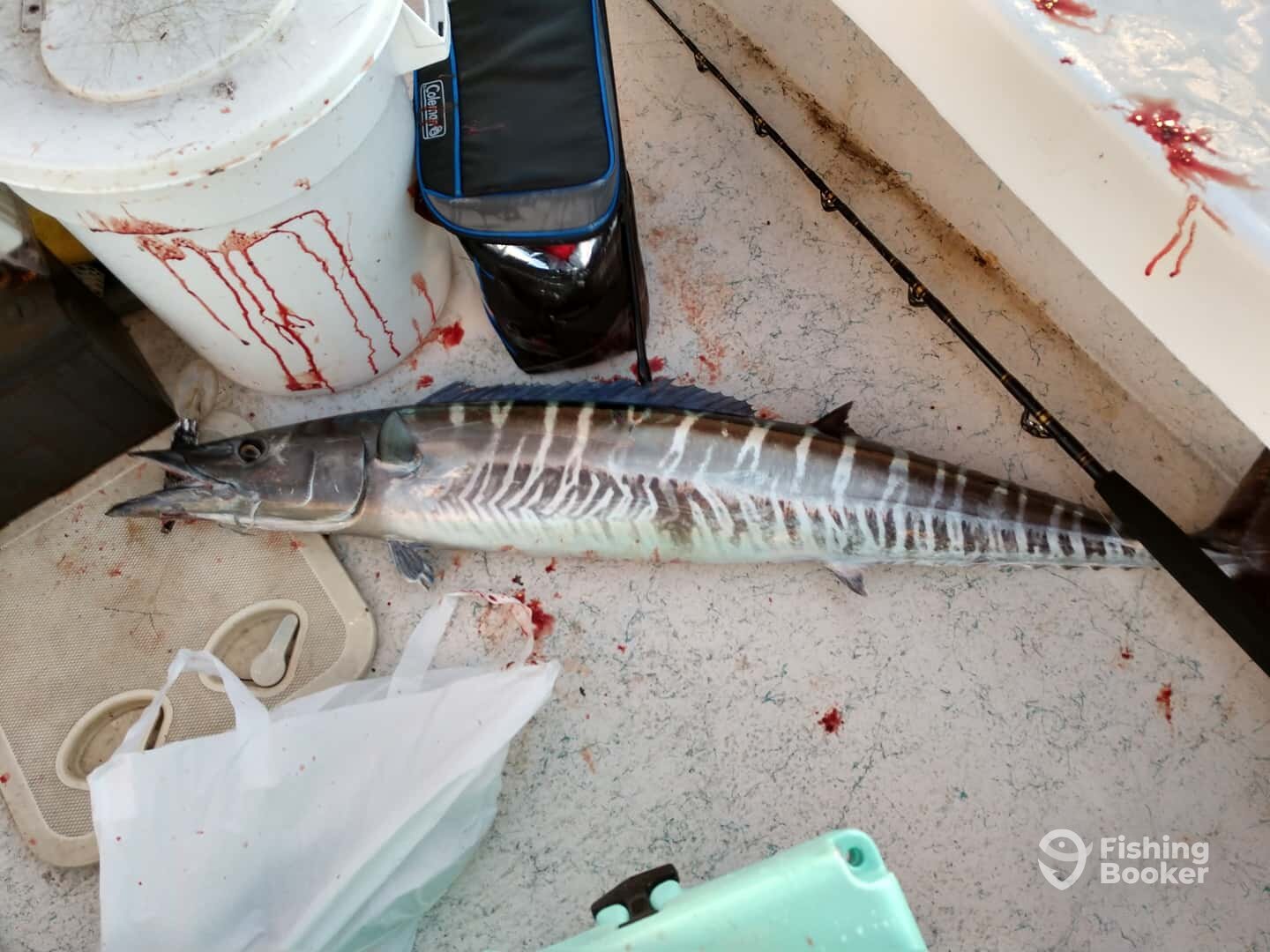 Fort Lauderdale Report Photo 0
