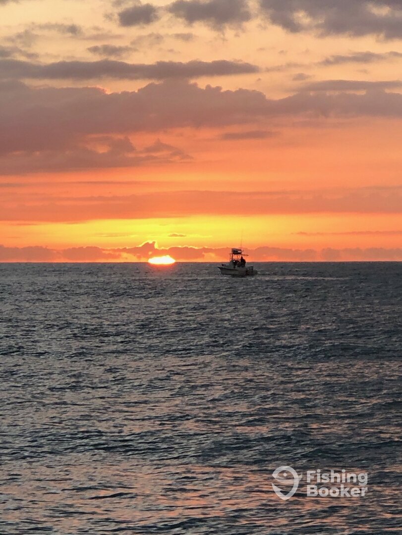 Port Canaveral Report Photo 0