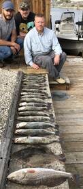 Limits of trout, big redfish & flounder!