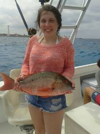 Cozumel Report Photo 1