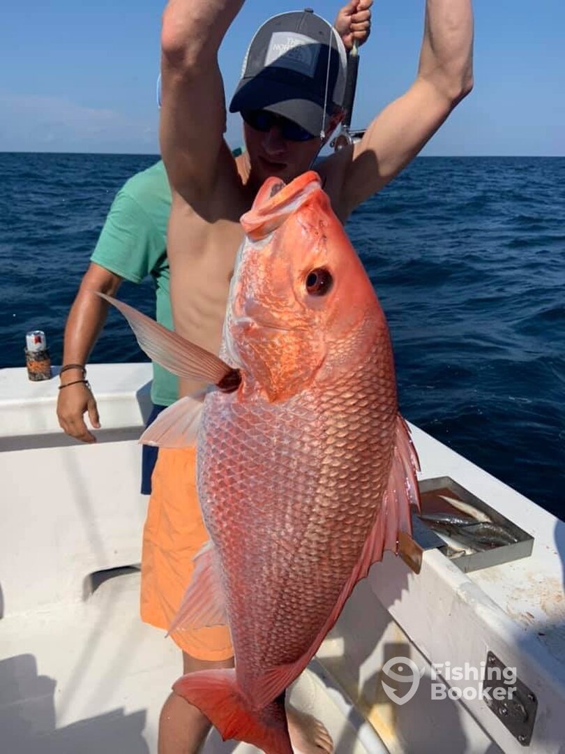 Orange Beach Report Photo 0
