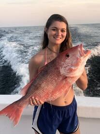 Orange Beach Report Photo 1