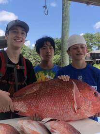 Orange Beach Report Photo 2