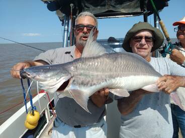 Golden Dorado and big catfish