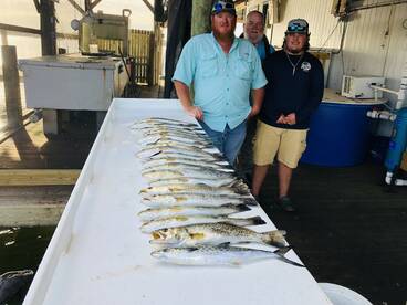 Crystal River Report Photo 2