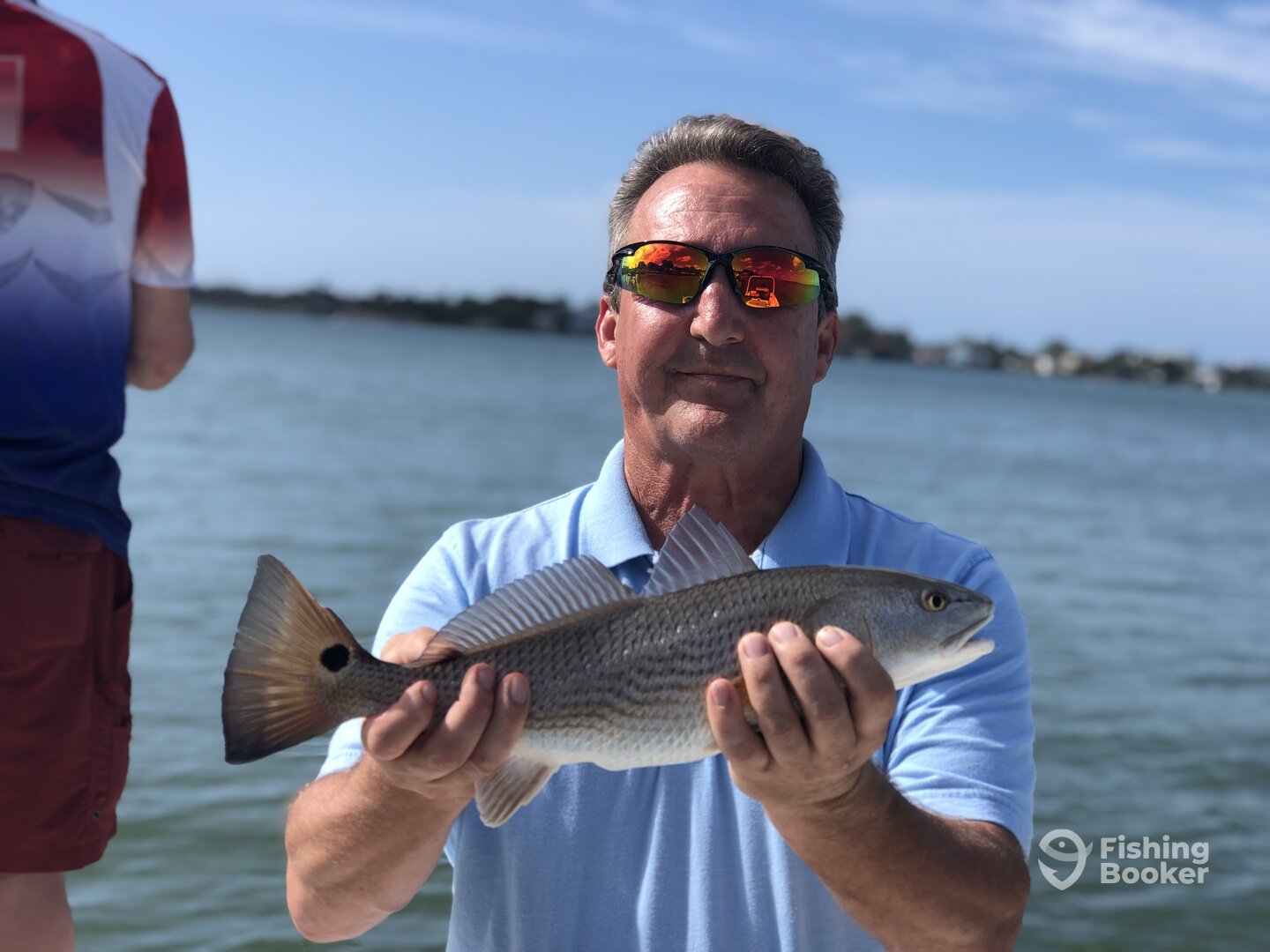Sarasota Report Photo 0