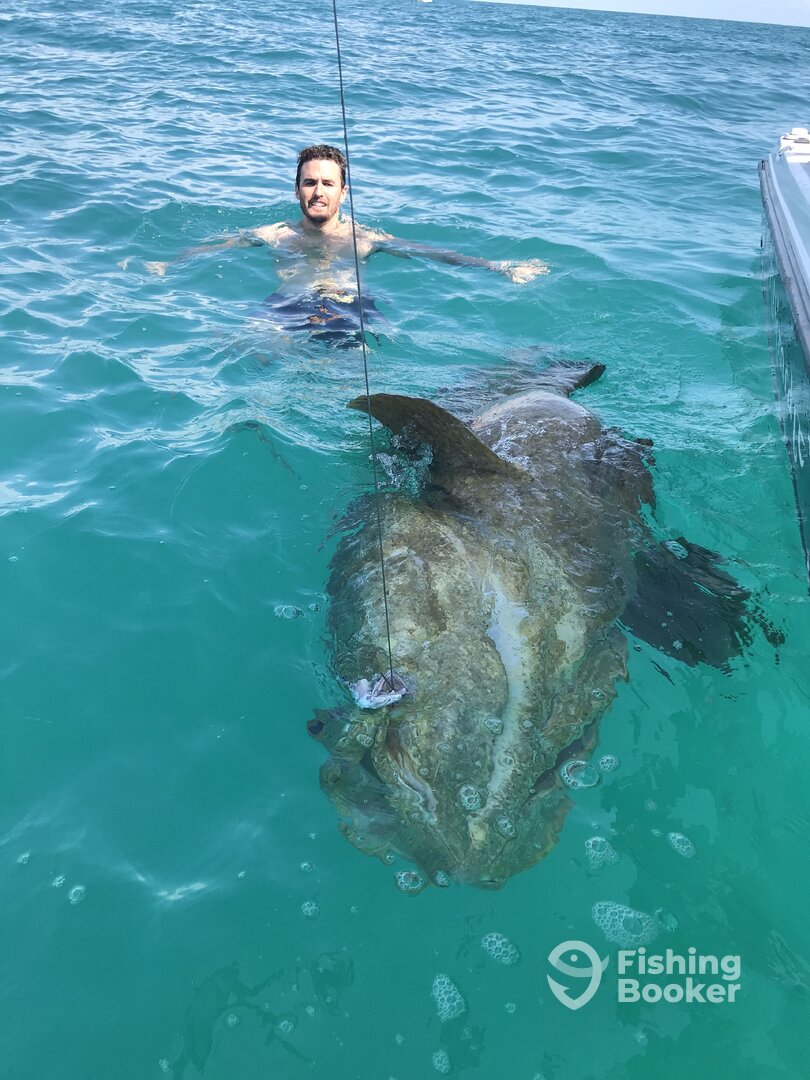 Sarasota Report Photo 0