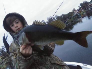 Ocoee Report Photo 1