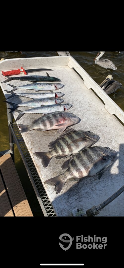 Bradenton Report Photo 0