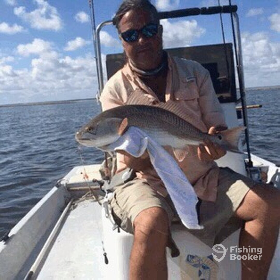 South Padre Island Report Photo 0