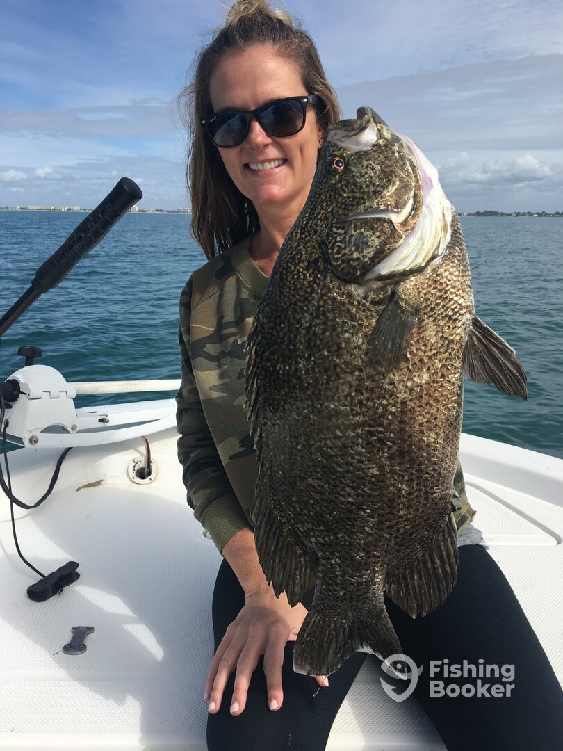 Sarasota Report Photo 0