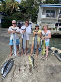 Saint Vincent and the Grenadines Report Photo 1