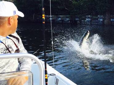 Tarpon #3. Estimated at over 130 lbs. Fishing Tarpon Puerto Rico