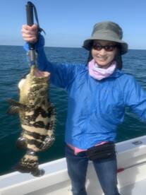 Marco Island Report Photo 2