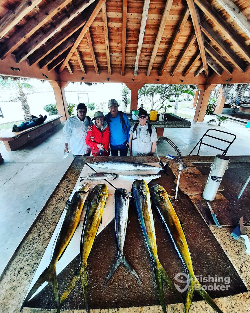 San Jose del Cabo Report Photo 0