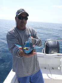 Ramrod Key Report Photo 1