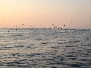 Puerto Aventuras Report Photo 2