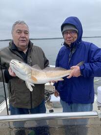 Redfish #2
