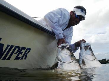 Big Tarpon Season 