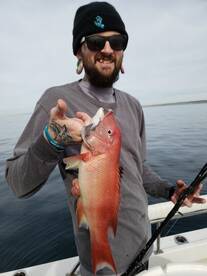 San Diego Report Photo 1