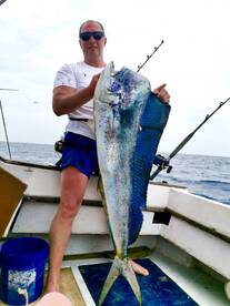 Big Blue Dolphin Fish.  