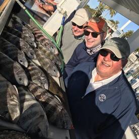 6 and A half pound sheepshad!