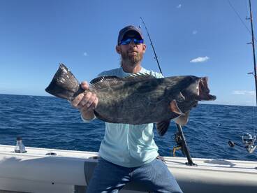 Insane Grouper, Kings and Yellowtails 