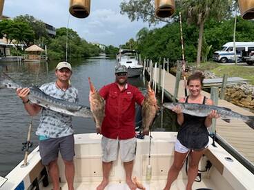 Goliath Grouper time
